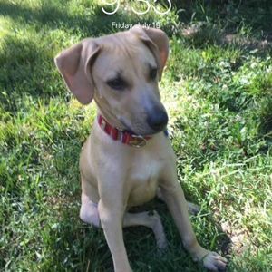 Meet your Posher, Ryan